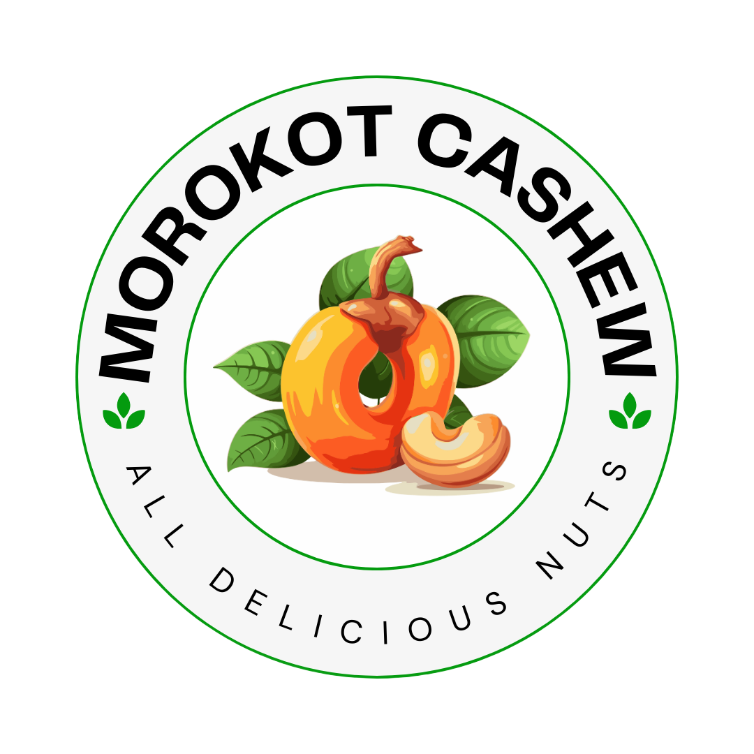 Morokot Cashew